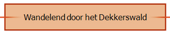 Wandelend door het Dekkerswald